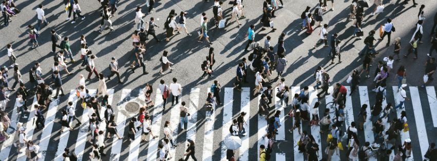 individuals walking on street in front of white lines