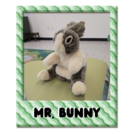 Mr.Bunny