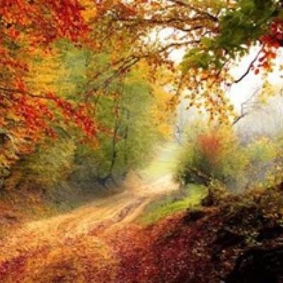 Fall fantasy