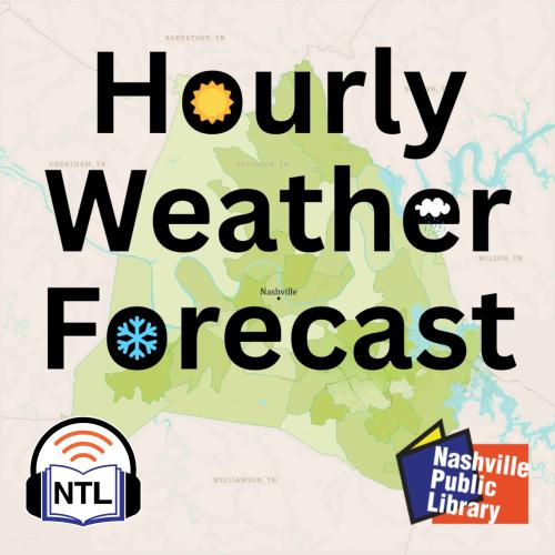 hourly weather forecast
