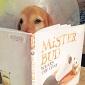 Dog reading book avatar