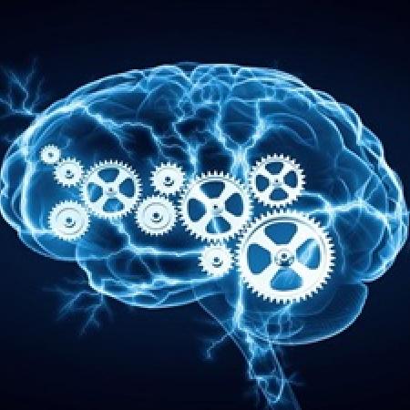 Brain work